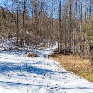 Photo #42 of 65 Lavender Lane, Amherst, VA 64.8 acres