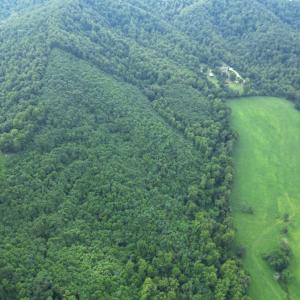 Photo #4 of 65 Lavender Lane, Amherst, VA 64.8 acres