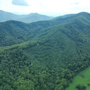 Photo #2 of 65 Lavender Lane, Amherst, VA 64.8 acres