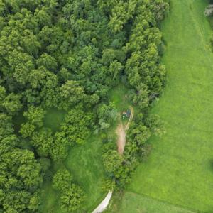 Photo #12 of 65 Lavender Lane, Amherst, VA 64.8 acres