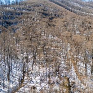 Photo #30 of 65 Lavender Lane, Amherst, VA 64.8 acres