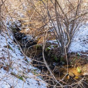 Photo #45 of 65 Lavender Lane, Amherst, VA 64.8 acres