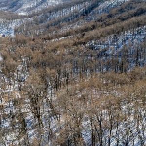 Photo #38 of 65 Lavender Lane, Amherst, VA 64.8 acres