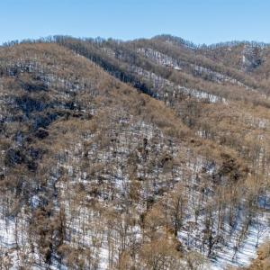 Photo #41 of 65 Lavender Lane, Amherst, VA 64.8 acres