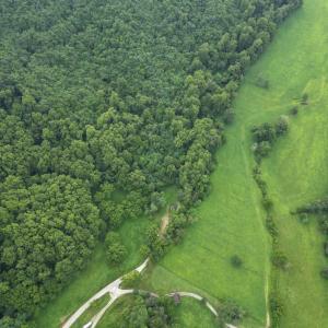 Photo #5 of 65 Lavender Lane, Amherst, VA 64.8 acres