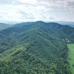 Photo #9 of 65 Lavender Lane, Amherst, VA 64.8 acres