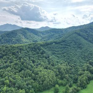 Photo #8 of 65 Lavender Lane, Amherst, VA 64.8 acres