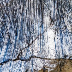 Photo #29 of 65 Lavender Lane, Amherst, VA 64.8 acres