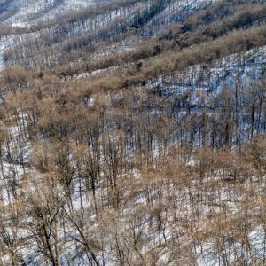 Photo #39 of 65 Lavender Lane, Amherst, VA 64.8 acres