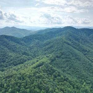 Photo #10 of 65 Lavender Lane, Amherst, VA 64.8 acres