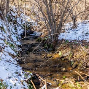 Photo #46 of 65 Lavender Lane, Amherst, VA 64.8 acres