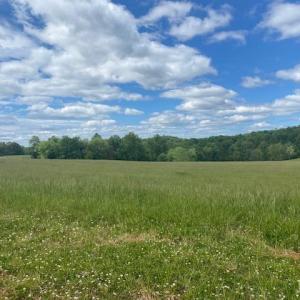 Photo #1 of Kitsmont, Forest, VA 1.4 acres