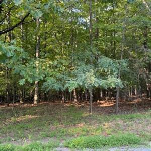 Photo #4 of 22 Woodshire Drive, Blue Ridge, VA 5.1 acres