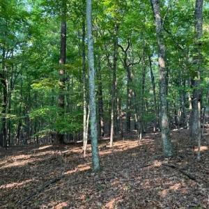 Photo #9 of 22 Woodshire Drive, Blue Ridge, VA 5.1 acres