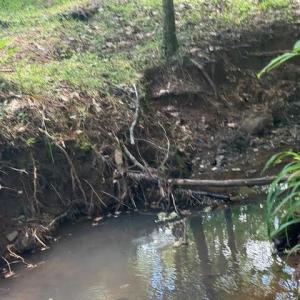 Photo #26 of Piney Mountain Road, Appomattox, VA 22.7 acres