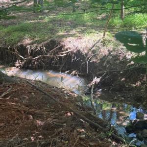 Photo #28 of Piney Mountain Road, Appomattox, VA 22.7 acres