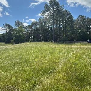 Photo #21 of Piney Mountain Road, Appomattox, VA 22.7 acres