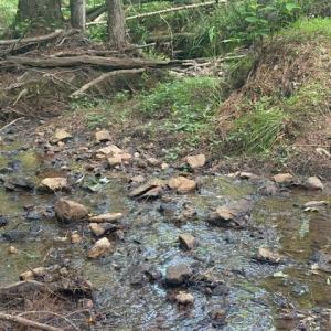 Photo #6 of Piney Mountain Road, Appomattox, VA 22.7 acres