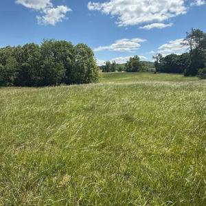 Photo #20 of Piney Mountain Road, Appomattox, VA 22.7 acres