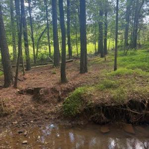 Photo #23 of Piney Mountain Road, Appomattox, VA 22.7 acres