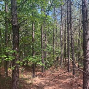 Photo #36 of Piney Mountain Road, Appomattox, VA 22.7 acres