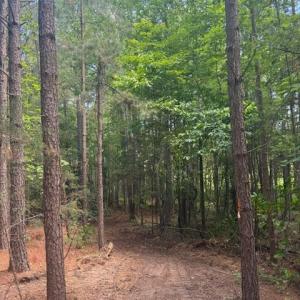 Photo #39 of Piney Mountain Road, Appomattox, VA 22.7 acres