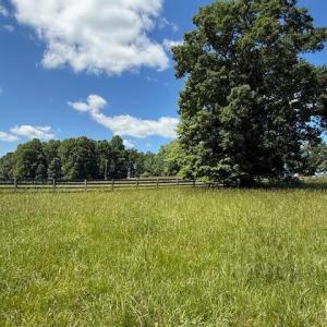 Photo #22 of Piney Mountain Road, Appomattox, VA 22.7 acres