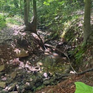 Photo #27 of Piney Mountain Road, Appomattox, VA 22.7 acres