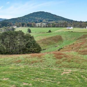 Photo #2 of Fox Lane, Moneta, VA 47.1 acres