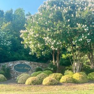 Photo #17 of 57 Sandy Court, Gretna, VA 1.0 acres