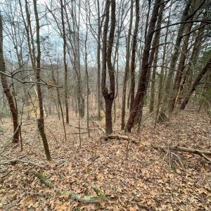 Photo #5 of 0 Moneta Road, Bedford, VA 7.8 acres