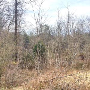 Photo #2 of 0 Moneta Road, Bedford, VA 7.8 acres