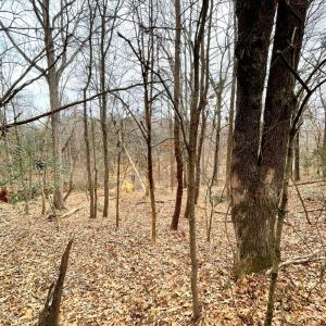 Photo #4 of 0 Moneta Road, Bedford, VA 7.8 acres