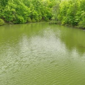 Photo #5 of Lot 19B Reservoir View Court, Pittsville, VA 4.8 acres