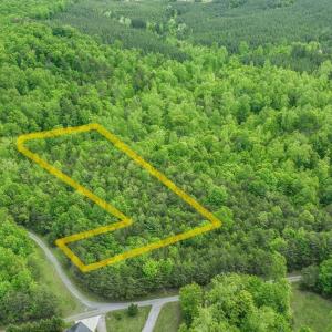 Photo #14 of Lot 19B Reservoir View Court, Pittsville, VA 4.8 acres