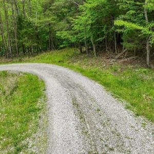 Photo #11 of Lot 19B Reservoir View Court, Pittsville, VA 4.8 acres