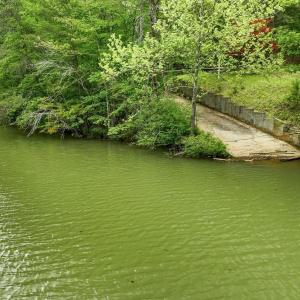 Photo #6 of Lot 19B Reservoir View Court, Pittsville, VA 4.8 acres