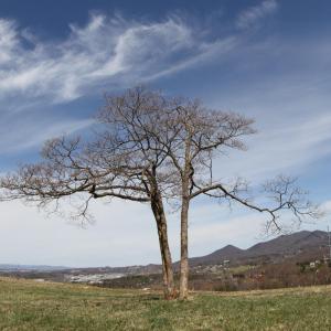 Photo #54 of 481 Richardson Drive, Roanoke, VA 33.6 acres
