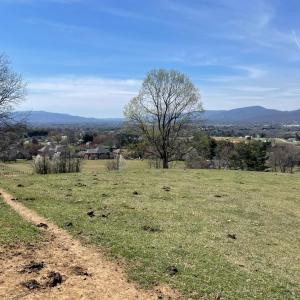 Photo #34 of 481 Richardson Drive, Roanoke, VA 33.6 acres