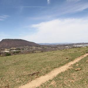 Photo #58 of 481 Richardson Drive, Roanoke, VA 33.6 acres