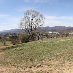 Photo #59 of 481 Richardson Drive, Roanoke, VA 33.6 acres