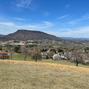 Photo #8 of 481 Richardson Drive, Roanoke, VA 33.6 acres