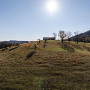 Photo #73 of 481 Richardson Drive, Roanoke, VA 33.6 acres