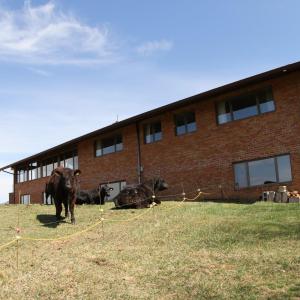 Photo #63 of 481 Richardson Drive, Roanoke, VA 33.6 acres