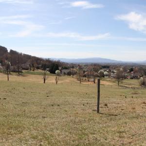 Photo #49 of 481 Richardson Drive, Roanoke, VA 33.6 acres