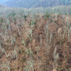 Photo #4 of Edgeview Drive, Meadows of Dan, VA 3.2 acres