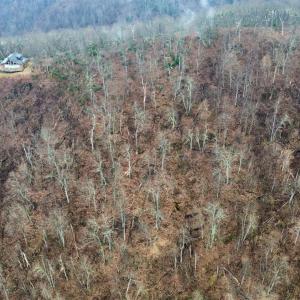 Photo #1 of Edgeview Drive, Meadows of Dan, VA 3.2 acres