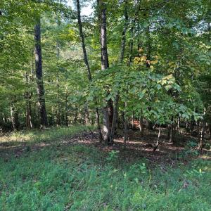 Photo #3 of 2 Cedar Bluff, Hardy, VA 0.5 acres