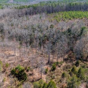 Photo #31 of Norwood Road, Gladstone, VA 26.8 acres