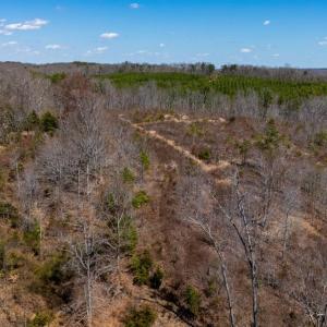 Photo #26 of Norwood Road, Gladstone, VA 26.8 acres